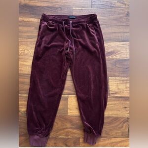 TWINS:2 pair- NWOT Sanctuary deep red velour track pants medium
